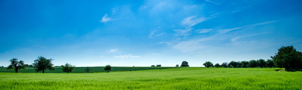 Green Fields and Blue Skies