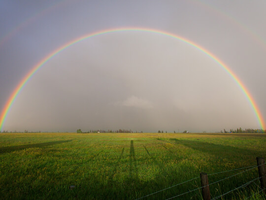Rainbow over fields