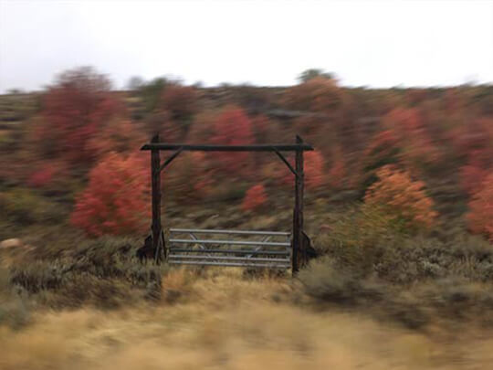 Gate in the fall